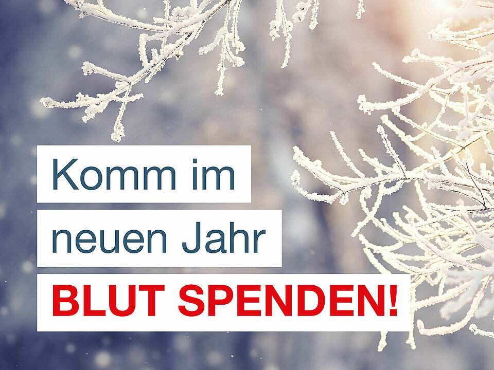 Blutspende am 23.01.25 in Bruchhausen